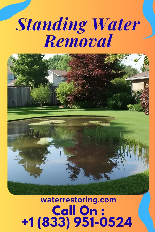 Standing Water Removal in Godfrey, GA